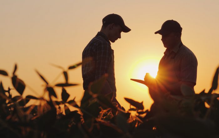 Dois fazendeiros conversando no campo